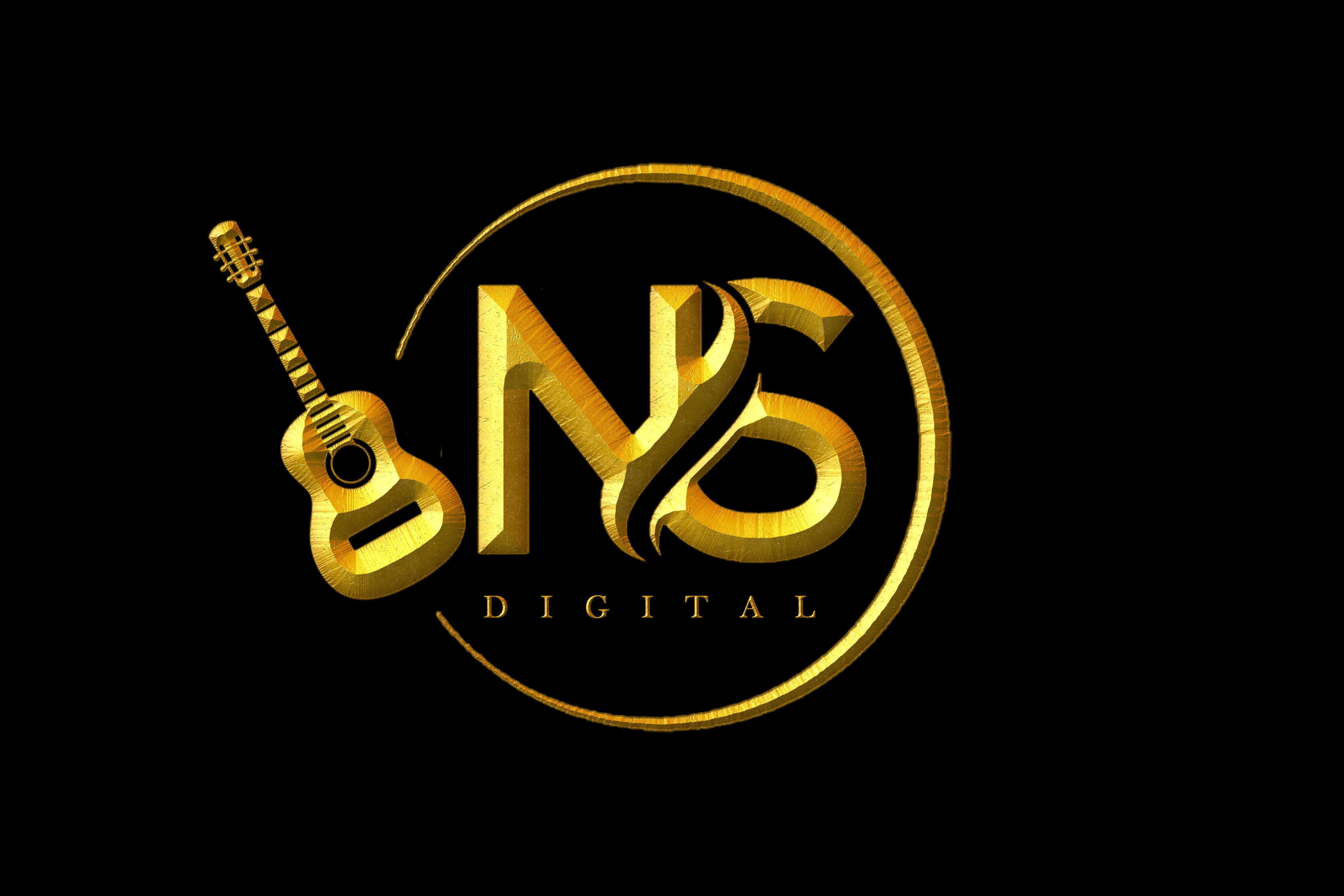NS Digital Logo